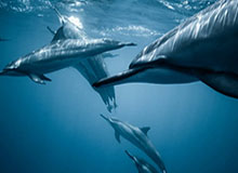 FIFA Club World Cup-U23国足载誉抵京创历史最佳 拜合拉木盼未来夺冠